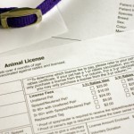 You must vaccinate your dogs in order to license them